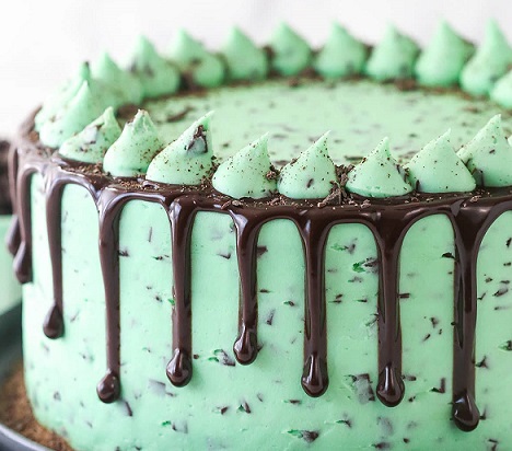 Mint Chocolate Chip Cake Recipe